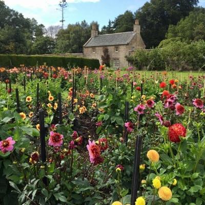 江南体育网页版