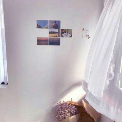 大四喜下载手机版