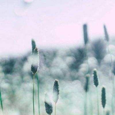 bat365官网登录入口app下载截图