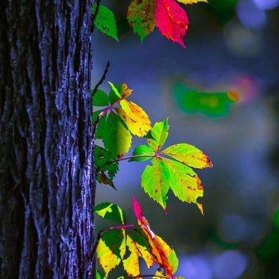 银河国际官网app下载