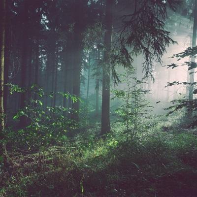 皇冠APP下载安装